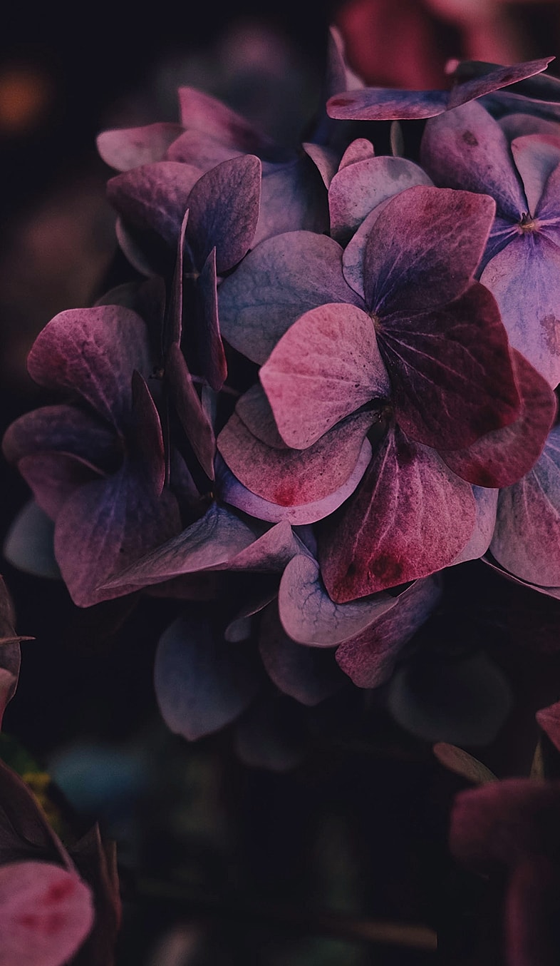 Woman with short hair and stylish earrings.